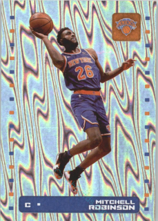 Mitchell Robinson 2019/20 Panini sticker Euro ed. foil #171