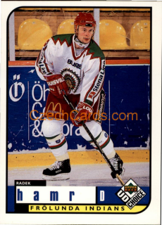 Radek Hamr 1998/99 UD Choice Finland #71