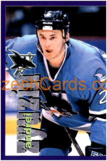 Andrei Zyuzin 1998/99 Panini NHL Hockey sticker #213