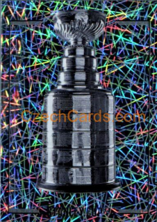 Stanley Cup 2018/19 Panini NHL sticker metal #571