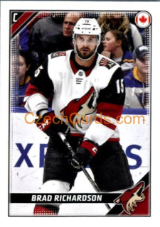 Brad Richardson 2019/20 Panini NHL sticker #27