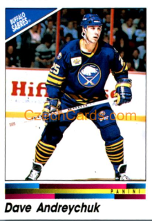 Dave Andreychuk 1990/91 Panini NHL sticker #29