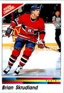 Brian Skrudland 1990/91 Panini NHL sticker #55